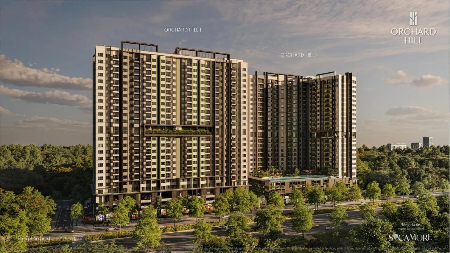 Hình ảnh Sycamore - Orchard Hill